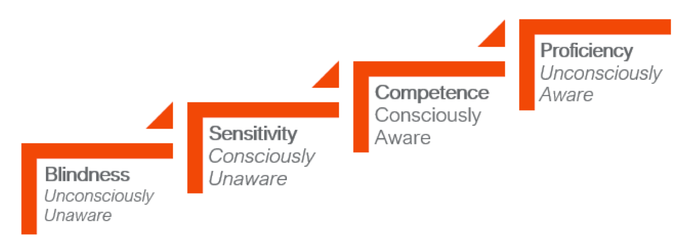 Blindness sensitivity competence and profiency are illustrated as the stages of cultural awareness