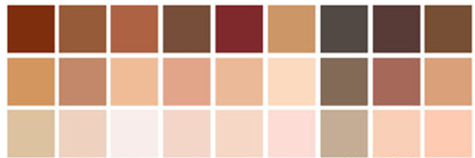 A variety of skin tone colors squares aligned in three rows of nine colors 