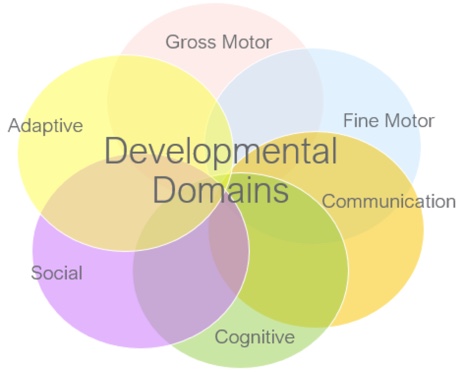 Venn diagram showing overlap of the six developmental domains 