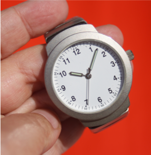 Adult holding a wristwatch in hand