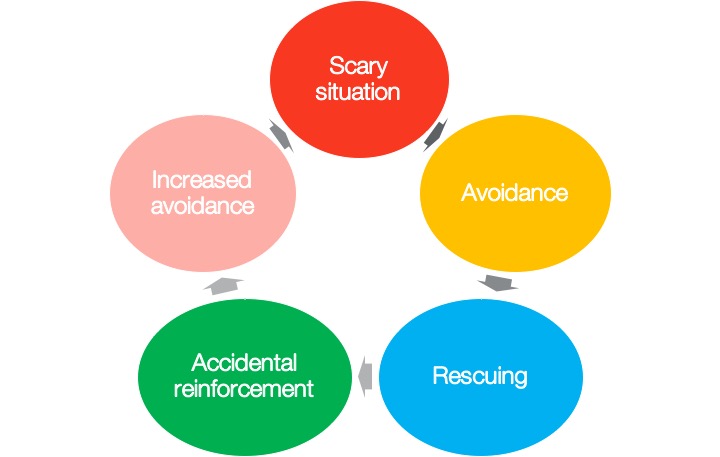 Cycle of developing and maintaining anxiety