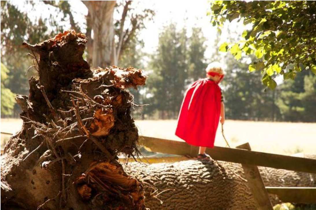 Boy with cape on playing with stick on a fallen tree trunk outside