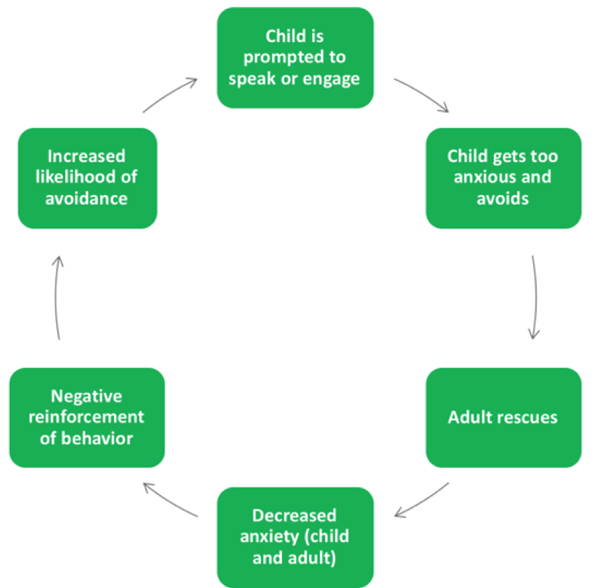 Conceptualization of selective mutism in a cycle of behaviors from the child and adult