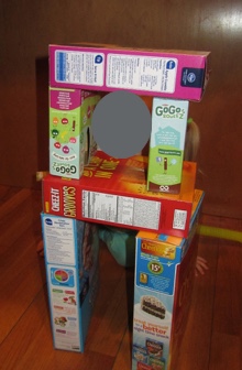 A house made from cereal boxes.