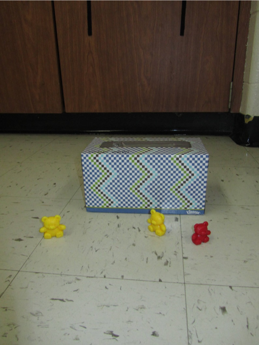 Empty tissue box with three small colored pastic bears on the floor