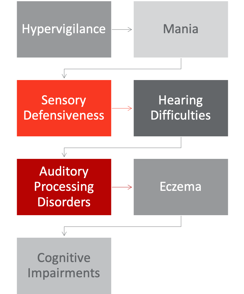 Chart illustrating additional diagnosis easily mistaken as ADHD 