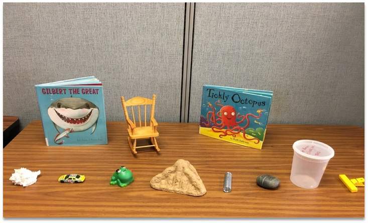 Items used during sensory practice including books, a rock, a seashell, and a toy car.