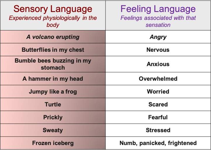 Which Option Is An Example Of Sensory Language