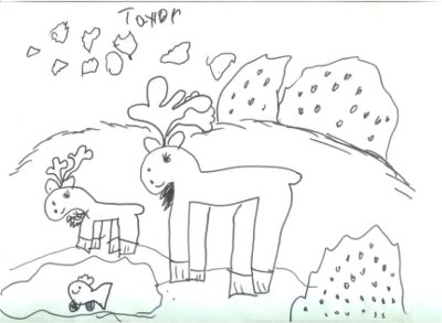 Work sample - drawing of moose and her written name from Taylor, age 4 years, 2 months
